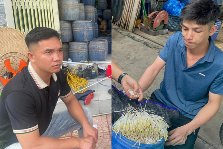Dùng chất cấm làm giá đỗ, bị công an khởi tố
