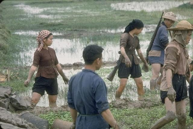 Khung cảnh làng quê miền Bắc năm 1967