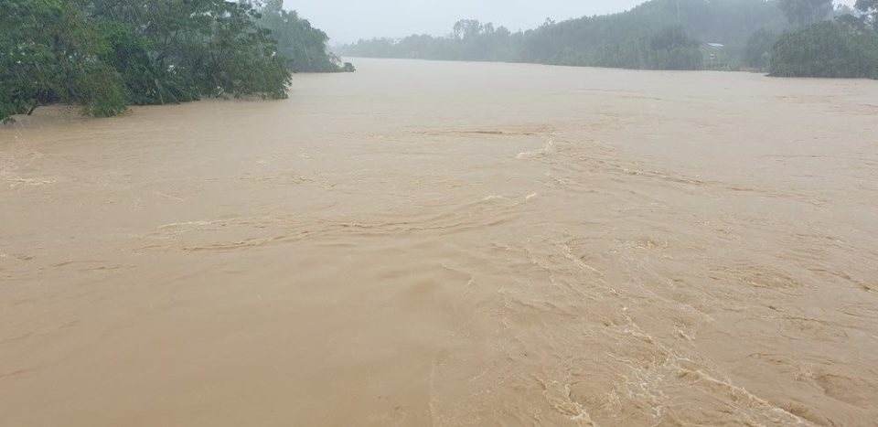 Sống chết mặc bay