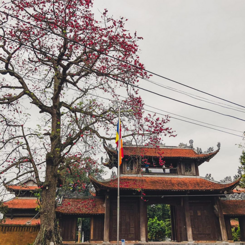 “Báu vật” của vùng đất Hưng Yên