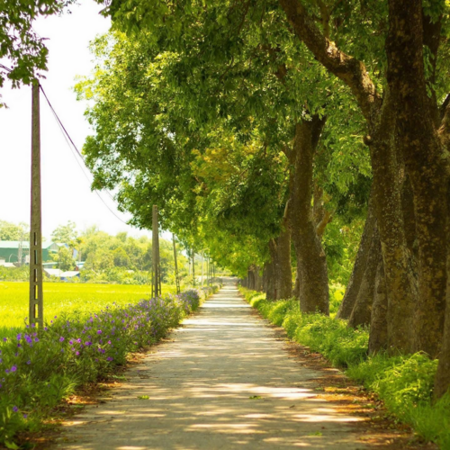Ở đâu mà đẹp thế này? Tôi muốn về quê sốnggggggggggg