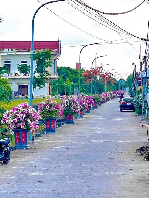 Liễu Đề quê tôi đấy, các bác có muốn ghé thăm không?
