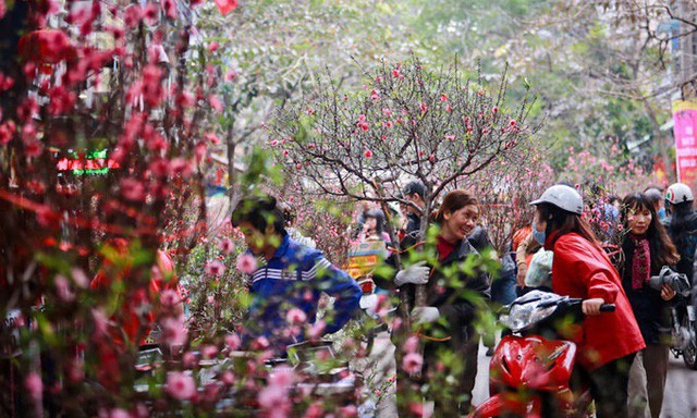 Dù thế nào tôi cũng chọn ăn Tết ở nhà