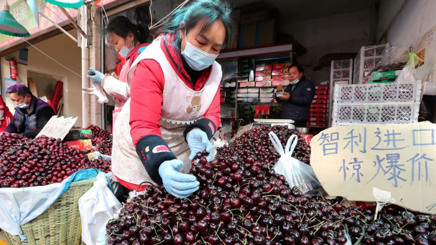 Vì sao giá cherry ở Việt Nam "rẻ chưa từng có"?