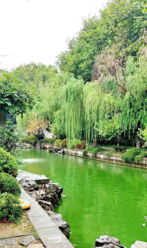 Ông chú 65 tuổi không tái hôn, đã tìm ra một cách đặc biệt thông minh để tận hưởng tuổi già