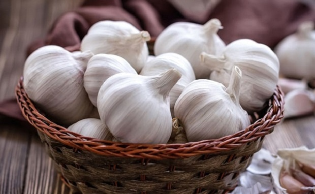 Cách bảo quản tỏi rất đơn giản, không bị teo và không nảy mầm