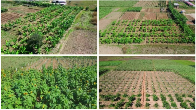 Trang trại tiền tỷ của Quang Linh lâm vào cảnh 'khốn cùng': Tiết lộ quá khứ từng vấp sai lầm