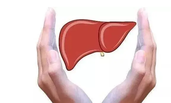 2 vị trí "ngứa" bất thường trên cơ thể: Cẩn thận, đây có thể là dấu hiệu ung thư gan chứ không phải dị ứng đâu nhé!