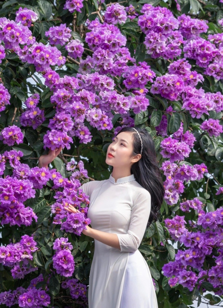 Mùa bằng lăng đang gần tàn, mối tình tuổi trẻ của mỗi người sao rồi?