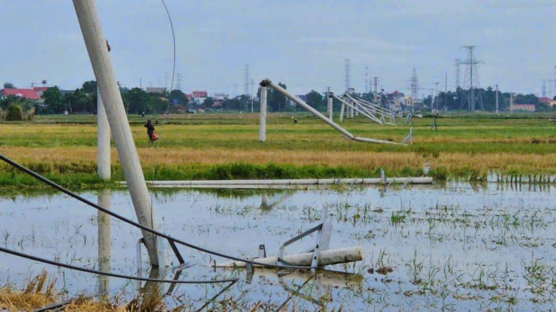 🛑 Thanh Hóa: Cột điện gãy đổ như "ngả rạ" sau giông lốc
