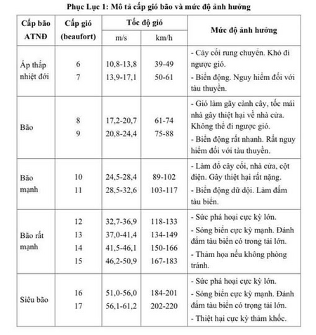 📢 Bão Wipha: Mức độ nguy hiểm của từng cấp gió người dân cần nắm rõ để ứng phó