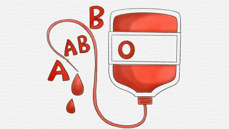Nhóm máu quyết định ung thư? Nhóm A, B, O, AB, nhóm máu nào có nhiều khả năng bị ung thư hơn?