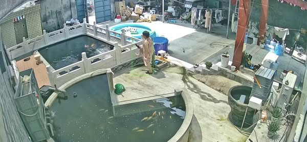 Chồng mải chăm cá quên đón con, vợ đạp chồng xuống hồ