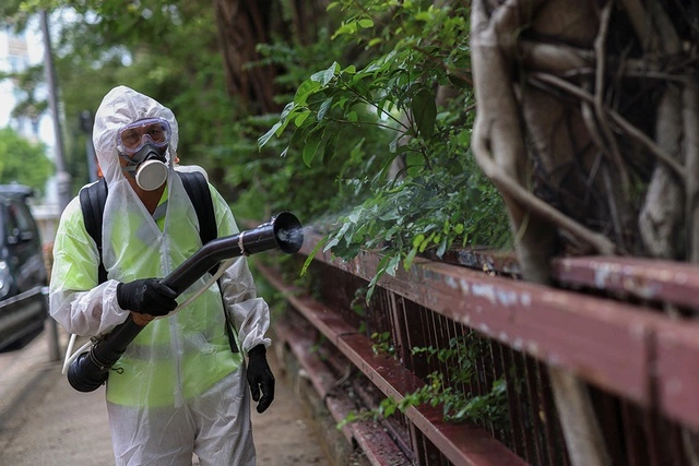 Bệnh chikungunya lan rộng toàn cầu, đe dọa hàng tỉ người