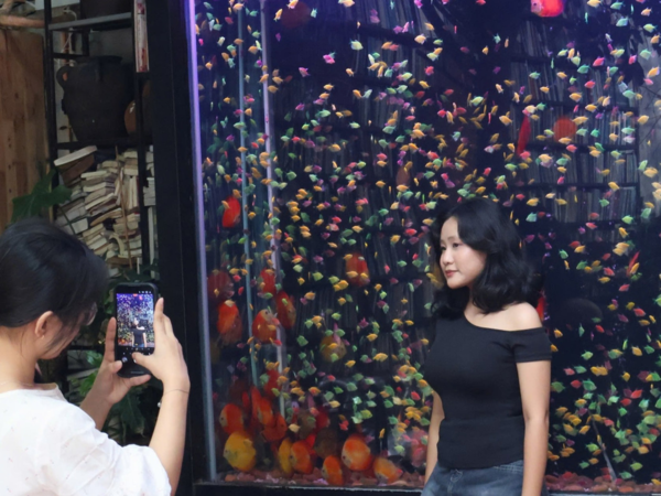 Độc đáo cà phê thủy cung đang hút giới trẻ