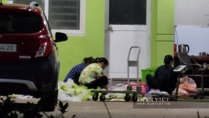 Vụ rau trôi nổi đưa vào trường học ở Hà Nội: "Chúng tôi bị lừa dối"