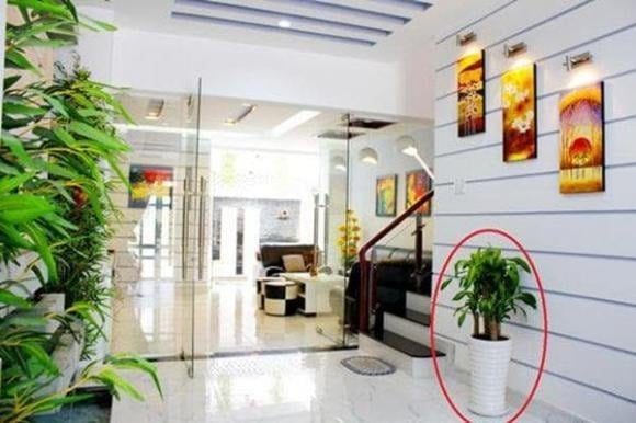 5 quy tắc phong thủy hút tài lộc: Người giàu đặc biệt kiêng kỵ phần 'miệng' của ngôi nhà