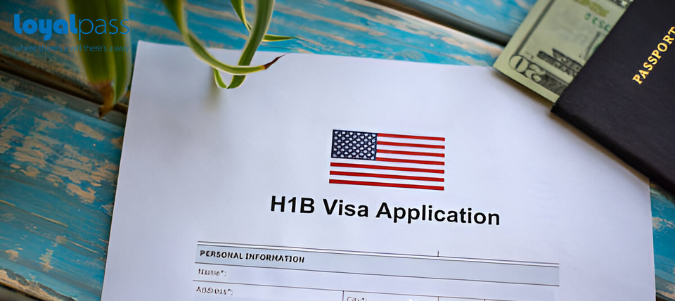 Giấc mơ Mỹ của các chuyên gia IT giỏi tan vỡ khi chính quyền Trump vừa làm điều này