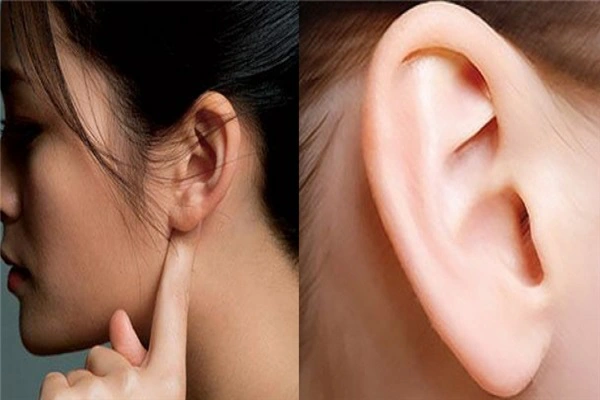 Nhìn tướng tai biết tương lai: Dành 1 phút quan sát tai, xem bạn có tướng giàu sang không?