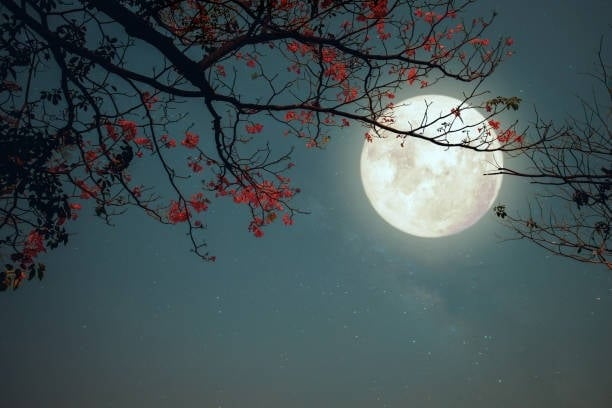 Trung thu có phải là giữa mùa thu?