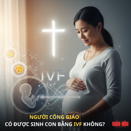 Người Công Giáo có được sinh con bằng IVF không?
