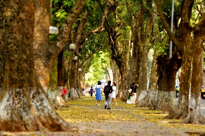 Lý do mùa thu Hà Nội đẹp đó, nhưng không có thương hiệu như Nhật Bản, Hàn Quốc?