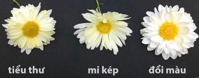1766195801509.png