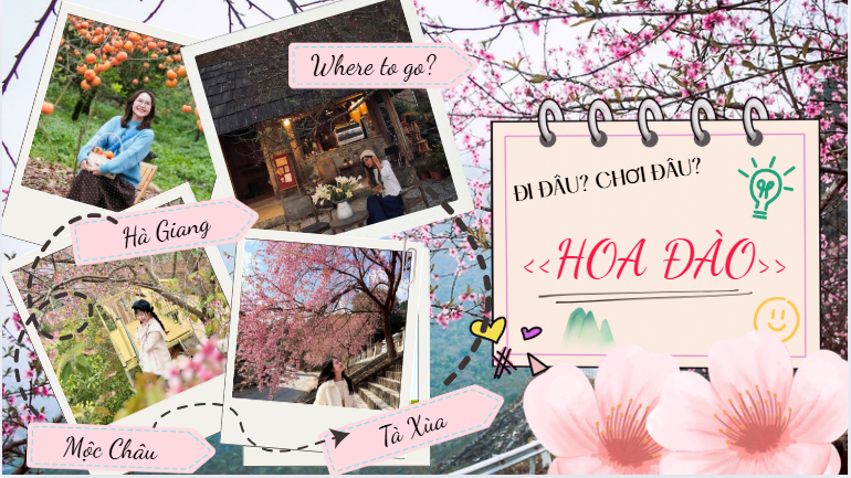 Chưa tới Tết đã có đào hồng: Tà Xùa săn mây kèm hoa nở, Hà Giang rủ rê chụp áo dài giữa bản làng