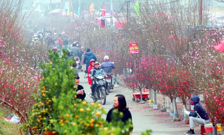 Dự báo thời tiết Tết Nguyên đán 2026: Miền Bắc có thể rét đậm rét hại