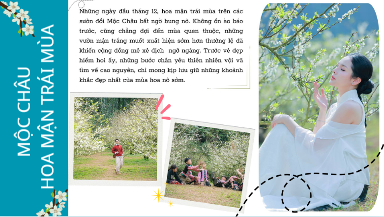 Mộc Châu khi hoa mận trái mùa, nơi cao nguyên thay áo tinh khôi, gọi những kẻ mơ mộng