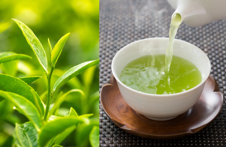 Cách hãm chè xanh không bị đỏ: 8 lưu ý không nên bỏ qua