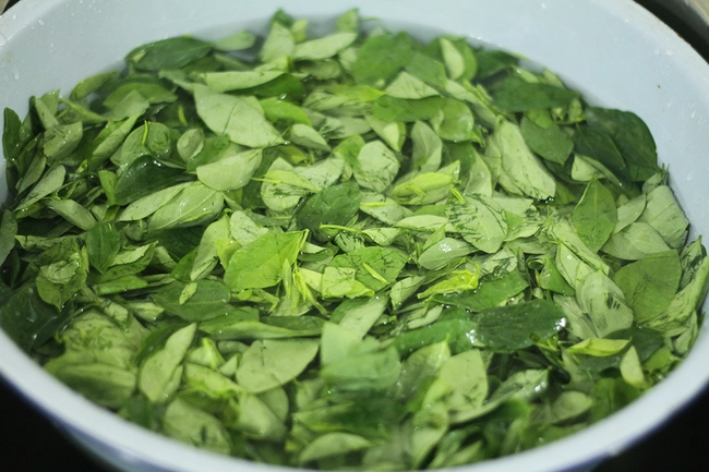Cách nấu canh rau ngót không có thịt