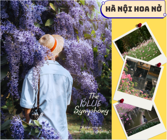 Xướng tên 3 góc Hà Nội hoa nở đẹp mê ly thời gian này: Công viên Thống Nhất và thực vật cảnh thu hút người dừng chân.
