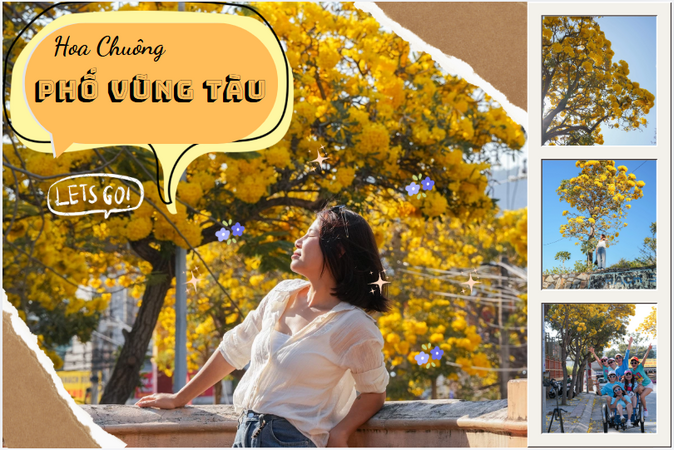 “Lạc” vào rừng hoa chuông vàng rực góc phố Vũng Tàu: Sắc hoa nở rộ, lôi kéo người du khách ngắm nhìn