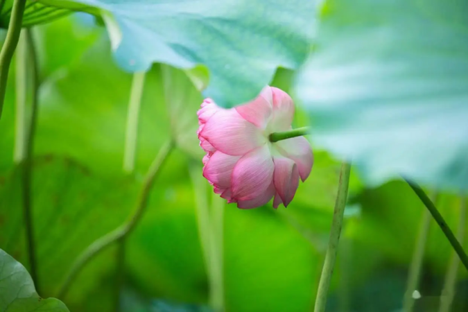 Một khi vợ chồng trung niên làm điều này, mối quan hệ ngày càng trở nên nguội lạnh và ly hôn chỉ là vấn đề thời gian