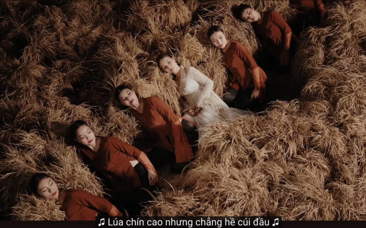 Tranh cãi câu hát 'Lúa chín cao mà chẳng hề cúi đầu' của Hòa Minzy