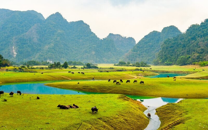 Chỉ cách Hà Nội 100 km, có một "ốc đảo" giữa núi đá với khí hậu mát mẻ quanh năm
