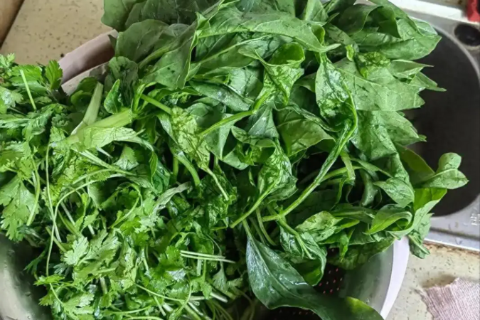 Loại rau được mệnh danh là "rau trường thọ", giàu axit folic hơn táo hàng chục lần, giá lại rất rẻ