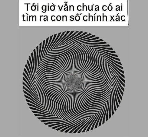 dovui.JPG