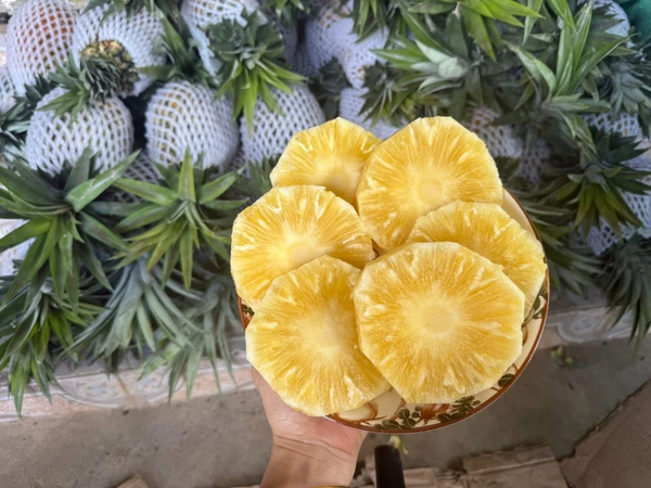 Dứa mật Pu Lau gây sốt trên chợ mạng, giá chỉ từ 35.000 đồng/kg