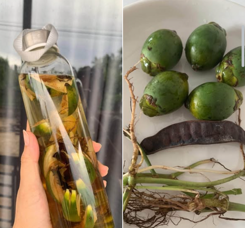 Chia sẻ công thức dân gian dễ làm giúp ngừa sâu răng, hôi miệng