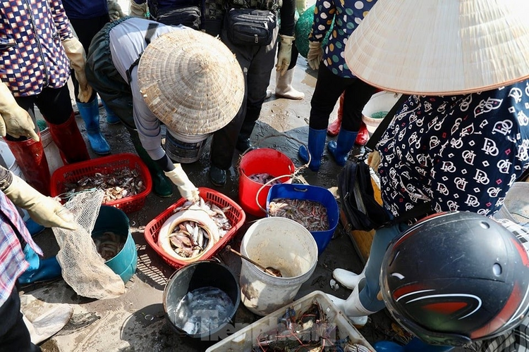 Một phiên chợ cá Giao Hải