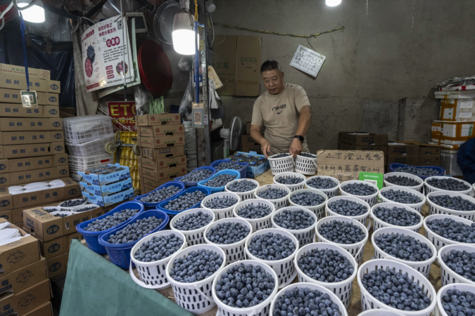 Hãng trái cây Mỹ nếm trái đắng khi đem việt quất đến Trung Quốc