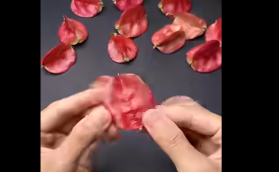 Cách làm hoa từ vật liệu cánh hoa, lá cây... hay thật