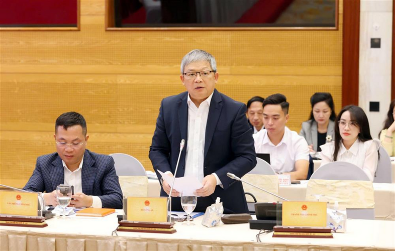 Vụ cây xanh Công Minh: chưa ai bị khởi tố