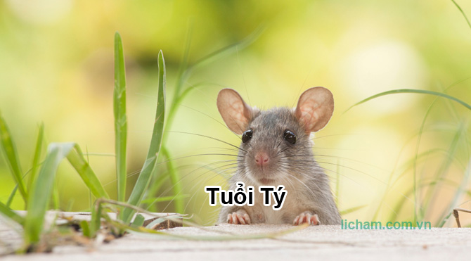 Sinh năm 1960 mệnh gì? Sinh năm 1960 tuổi con gì, hợp tuổi gì?