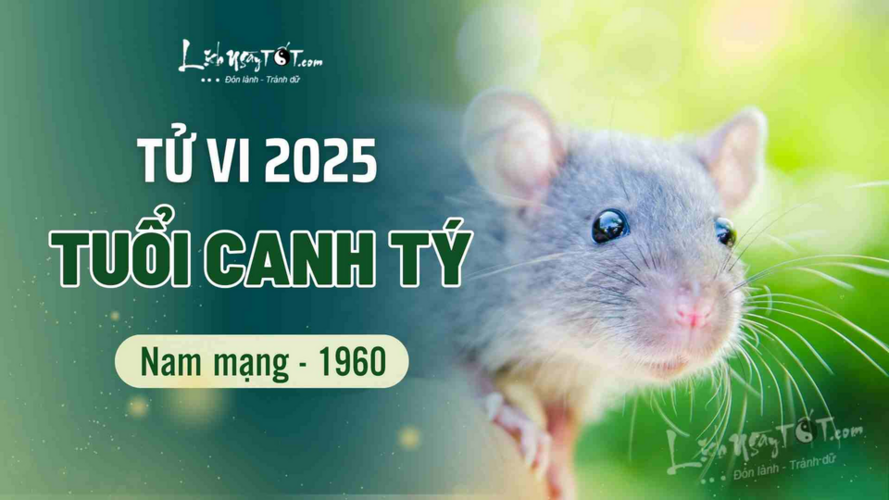 Tử vi 2025 tuổi Canh Tý 1960 nam mạng: năm Ất Tỵ bình hòa, không xây nhà