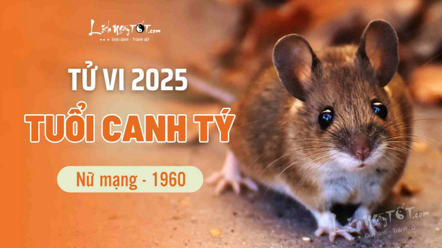 Tử vi 2025 tuổi Canh Tý 1960 nữ mạng: năm Ất Tỵ gặp vận niên tốt, sung túc no đủ
