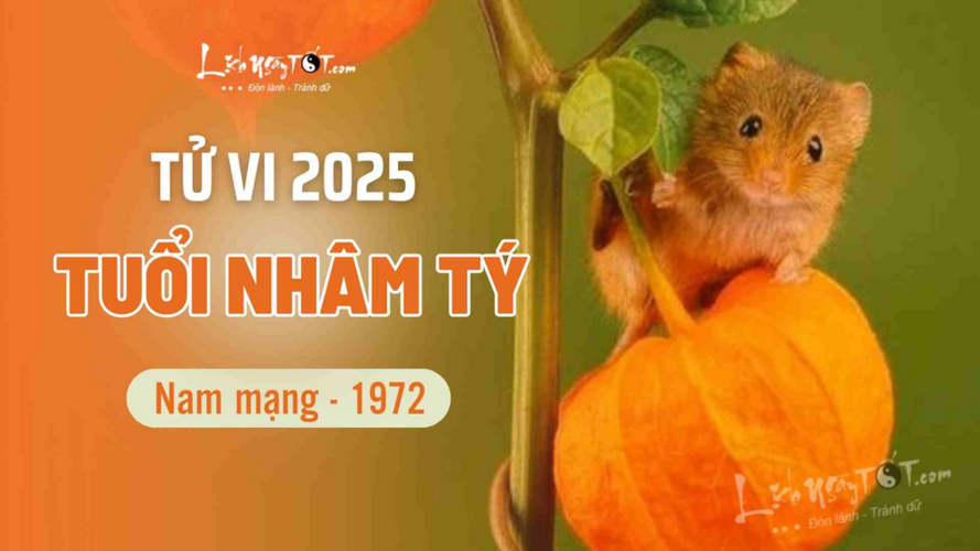 Tử vi 2025 tuổi Nhâm Tý 1972 nam mạng: Ất Tỵ tiểu cát, bình hòa, yên ổn
