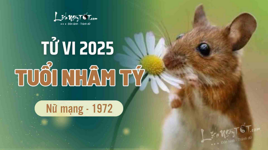 Tử vi 2025 tuổi Nhâm Tý 1972 nữ mạng: Ất Tỵ gặp Thủy Diệu hóa hung thành cát